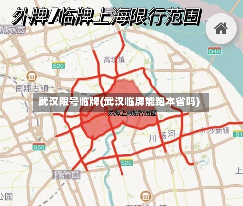 武汉限号临牌(武汉临牌能跑本省吗)-第2张图片