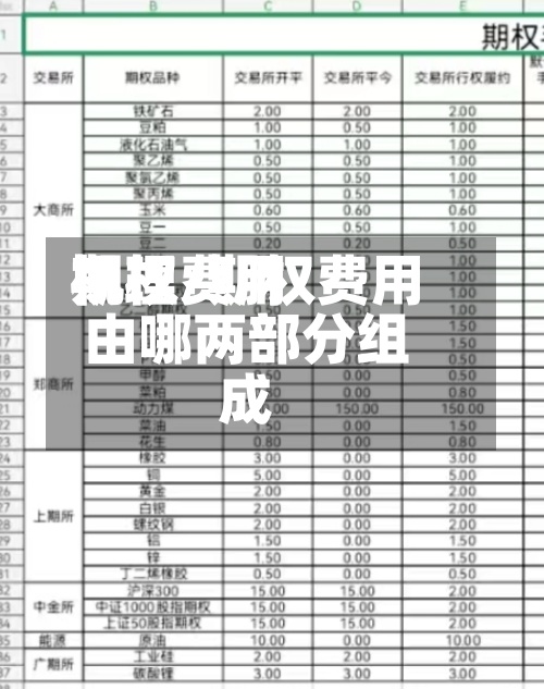 期权费用机理/期权费用由哪两部分组成-第2张图片