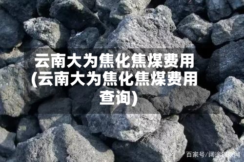 云南大为焦化焦煤费用(云南大为焦化焦煤费用查询)-第2张图片