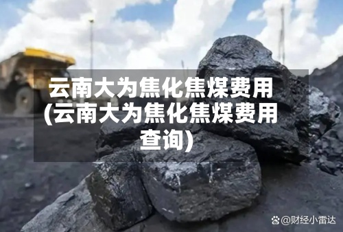 云南大为焦化焦煤费用(云南大为焦化焦煤费用查询)-第3张图片