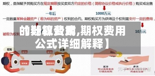 【期权费用
的计算公式,期权费用
公式详细解释】-第2张图片