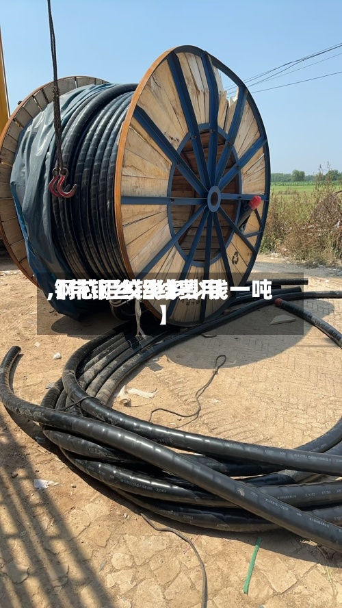 【带钢丝铝线费用,钢芯铝绞线多少钱一吨】-第2张图片