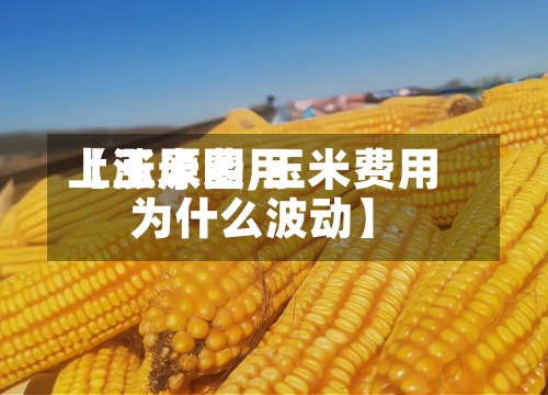 【玉米费用上涨原因,玉米费用为什么波动】