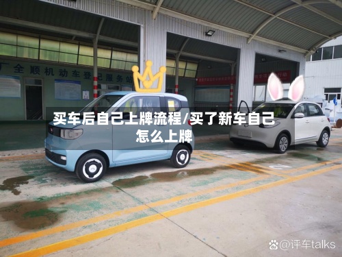 买车后自己上牌流程/买了新车自己怎么上牌