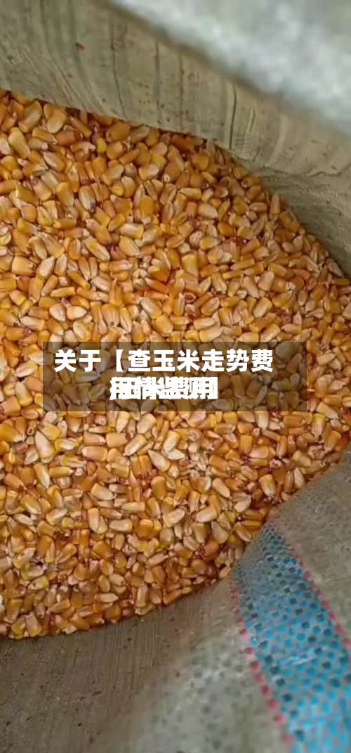 关于【查玉米走势费用,玉米费用行情监测】-第3张图片