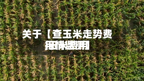 关于【查玉米走势费用,玉米费用行情监测】-第2张图片