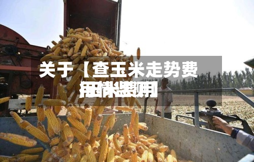 关于【查玉米走势费用,玉米费用行情监测】