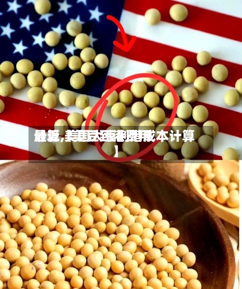 最近【美豆到港费用计算,美国大豆到港成本计算】-第3张图片
