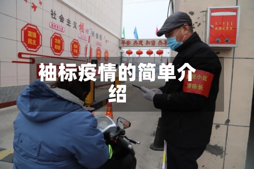 袖标疫情的简单介绍-第2张图片