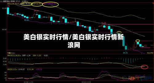 美白银实时行情/美白银实时行情新浪网