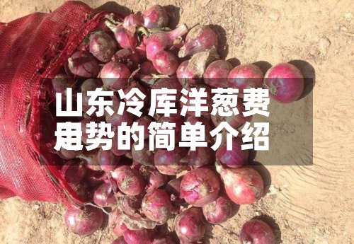山东冷库洋葱费用走势的简单介绍