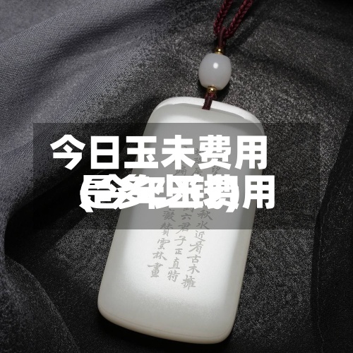 今日玉未费用(今年玉费用是多少钱)-第3张图片