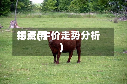 牛费用拐点(牛价走势分析)