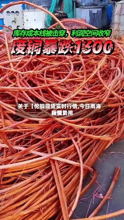 关于【伦铜现货实时行情,今日南海废铜费用行情】-第2张图片