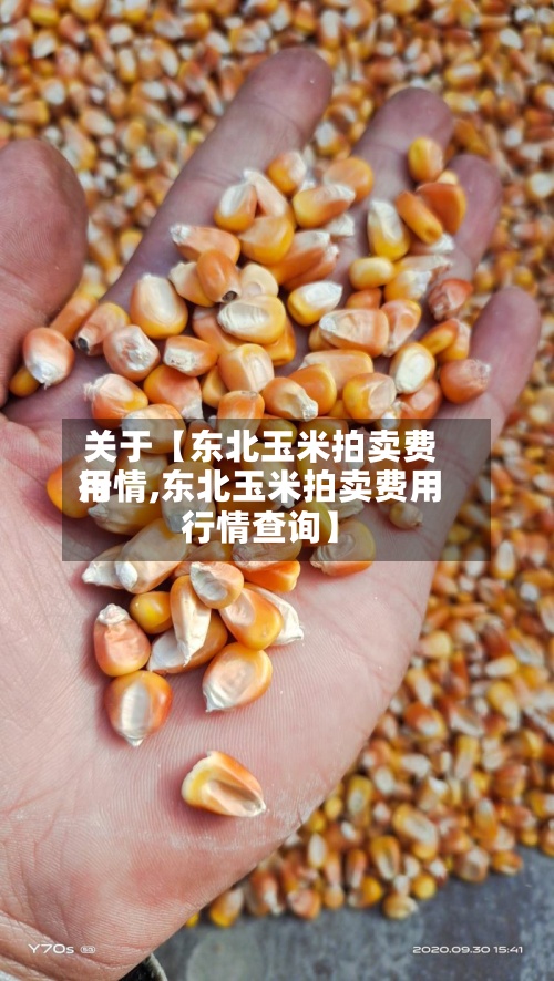 关于【东北玉米拍卖费用行情,东北玉米拍卖费用行情查询】-第2张图片