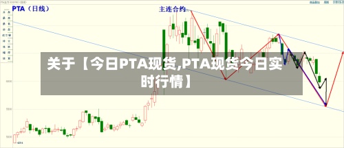 关于【今日PTA现货,PTA现货今日实时行情】-第2张图片