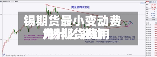 锡期货最小变动费用/锡期货费用为什么波动-第2张图片