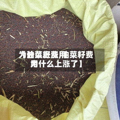 【油菜籽费用为什么上涨,油菜籽费用为什么上涨了】