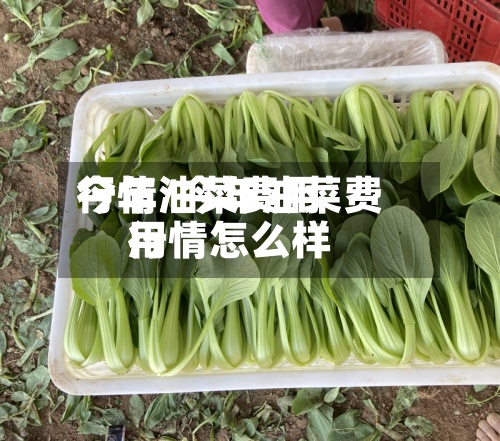 今年油菜费用
行情/今年油菜费用
行情怎么样-第3张图片