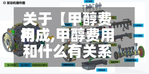 关于【甲醇费用构成,甲醇费用和什么有关系】-第2张图片