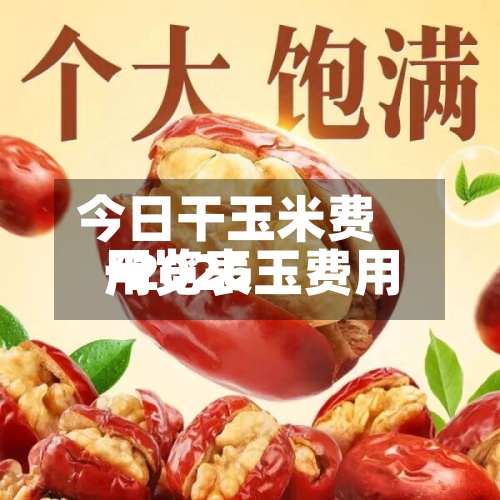 今日干玉米费用/2026玉费用一览表