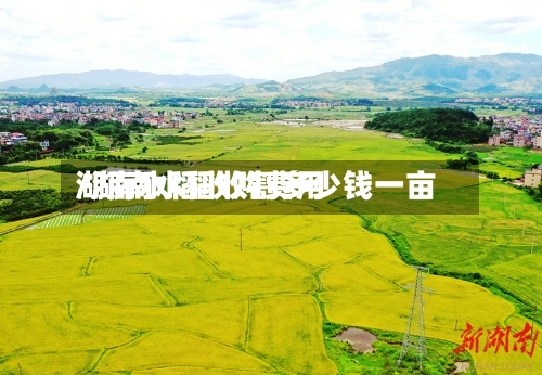 湖南水稻收购费用/湖南水稻收割多少钱一亩