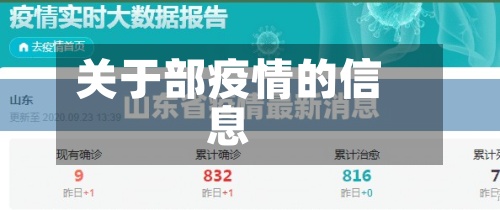 关于部疫情的信息