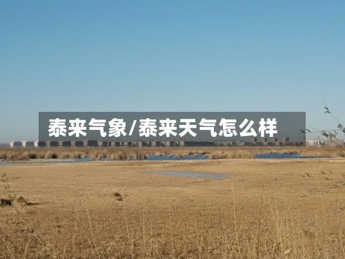 泰来气象/泰来天气怎么样-第2张图片