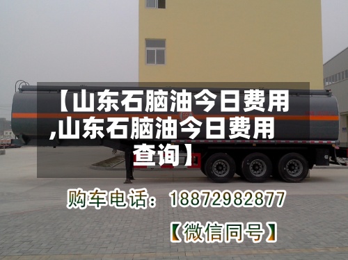 【山东石脑油今日费用,山东石脑油今日费用查询】-第2张图片