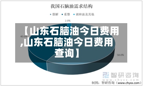 【山东石脑油今日费用,山东石脑油今日费用查询】-第3张图片