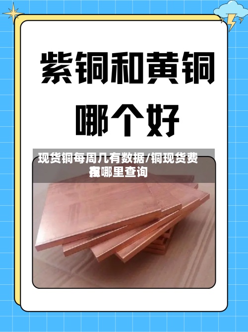 现货铜每周几有数据/铜现货费用在哪里查询-第2张图片