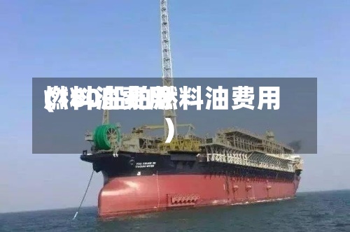 燃料油费用(180船舶燃料油费用)