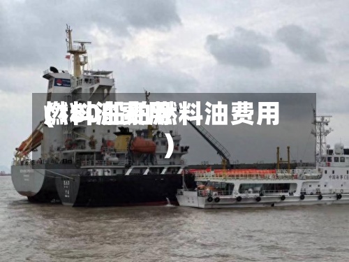 燃料油费用(180船舶燃料油费用)-第3张图片