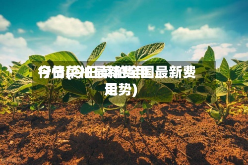 今日菜柏最新费用行情(今日菜粕全国最新费用走势)-第2张图片