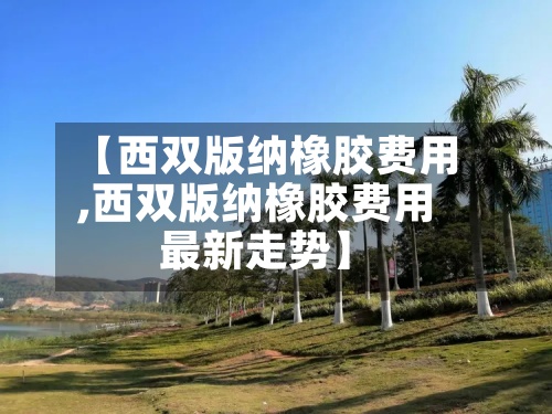 【西双版纳橡胶费用,西双版纳橡胶费用最新走势】-第2张图片