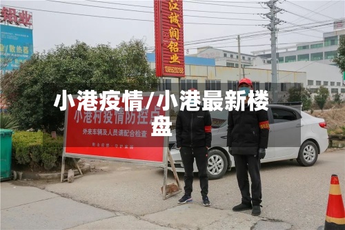 小港疫情/小港最新楼盘-第2张图片