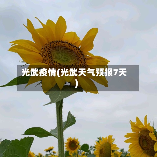 光武疫情(光武天气预报7天)