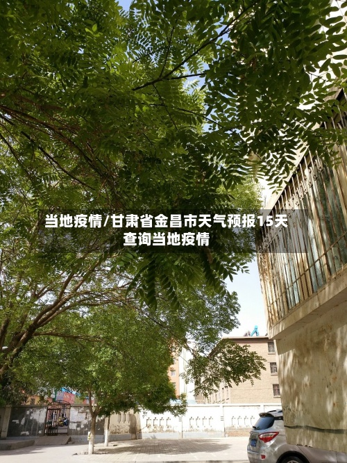 当地疫情/甘肃省金昌市天气预报15天查询当地疫情-第3张图片