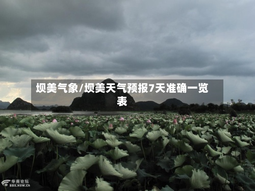 坝美气象/坝美天气预报7天准确一览表-第2张图片