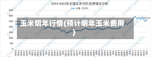 玉米明年行情(预计明年玉米费用)