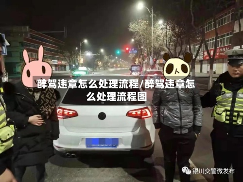 醉驾违章怎么处理流程/醉驾违章怎么处理流程图