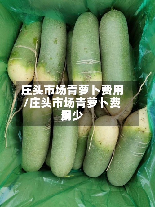 庄头市场青萝卜费用/庄头市场青萝卜费用多少