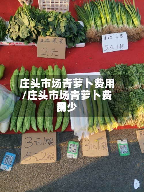 庄头市场青萝卜费用/庄头市场青萝卜费用多少-第2张图片