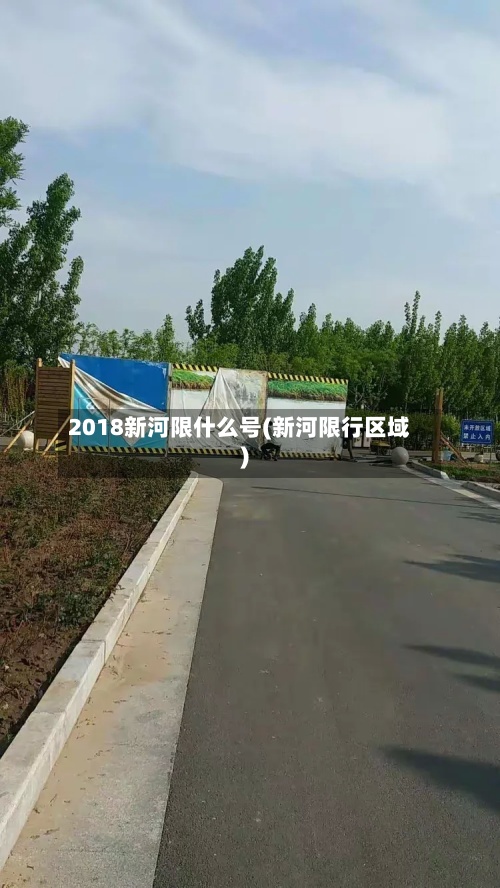 2018新河限什么号(新河限行区域)