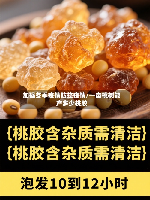 加强冬季疫情防控疫情/一亩桃树能产多少桃胶
