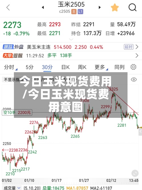 今日玉米现货费用/今日玉米现货费用示意图-第3张图片
