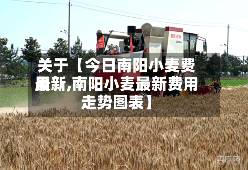 关于【今日南阳小麦费用最新,南阳小麦最新费用走势图表】