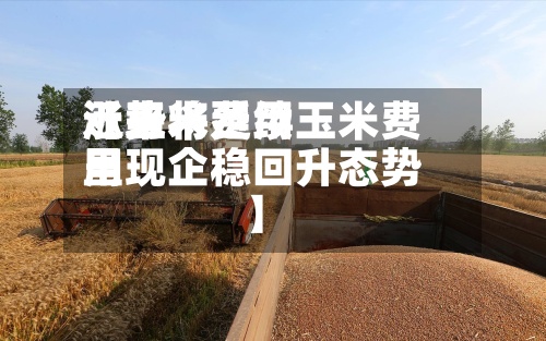 近来【玉米费用涨势将延续玉米费用呈现企稳回升态势】-第3张图片
