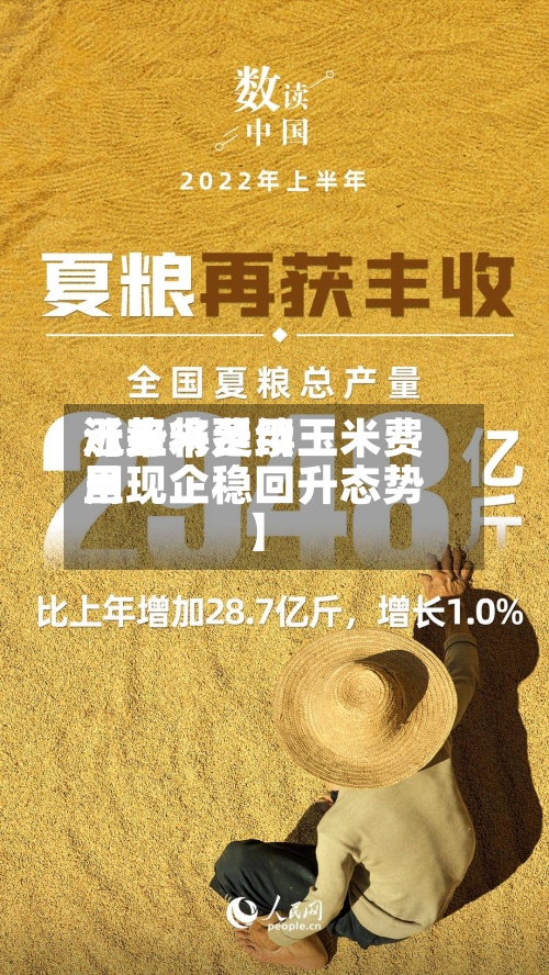 近来【玉米费用涨势将延续玉米费用呈现企稳回升态势】-第2张图片
