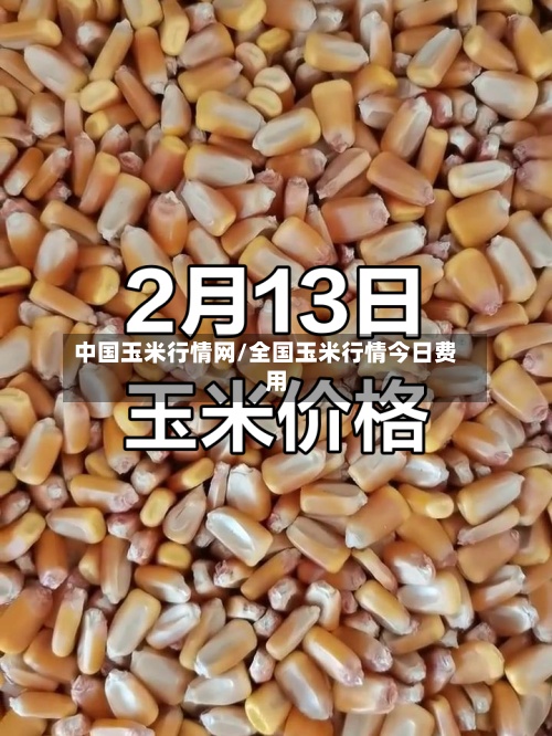 中国玉米行情网/全国玉米行情今日费用-第2张图片